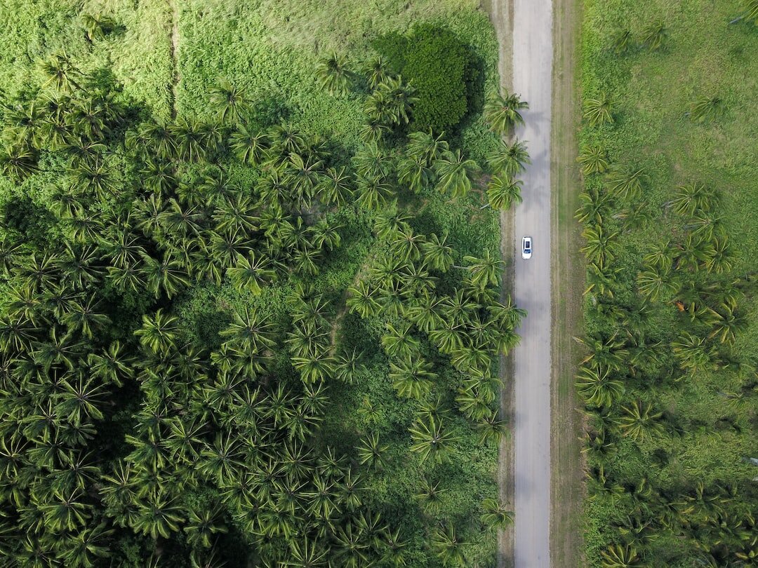 Unlocking the Benefits of Sustainability Public Relations in 2024