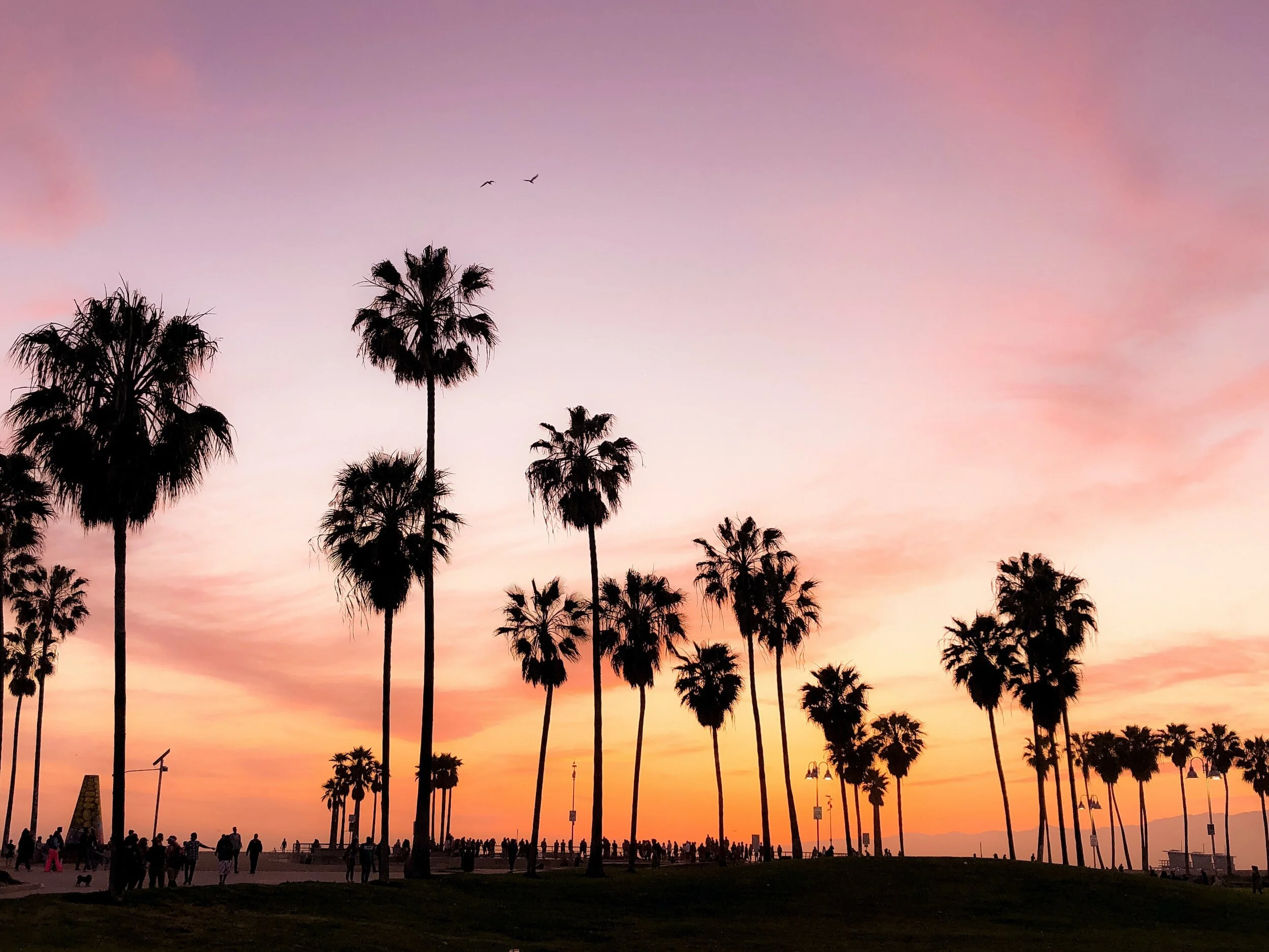 Discover the Leading PR Firms in California for 2024: Your Guide to Strategic Partnerships