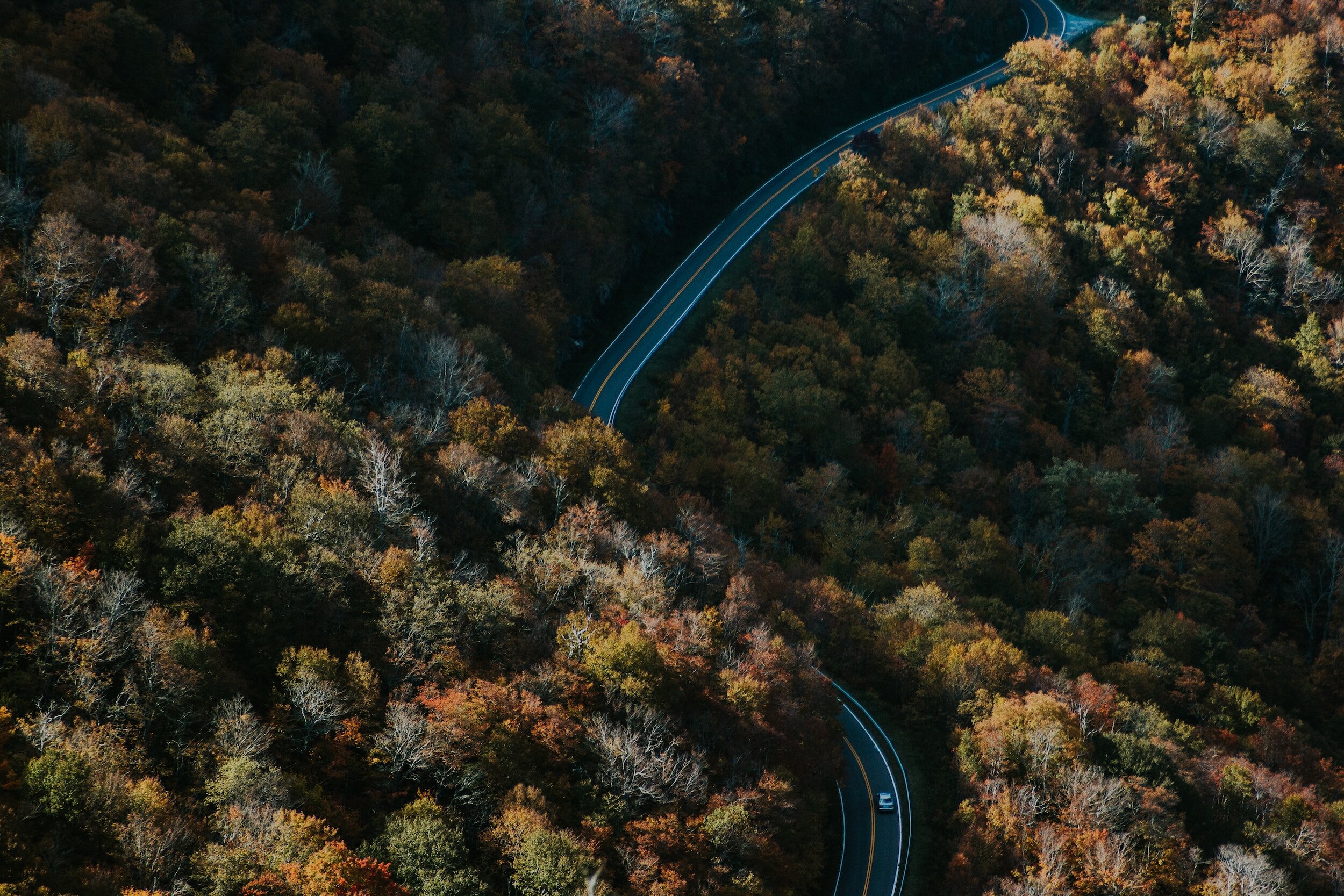 Discover Leading PR Firms in Raleigh NC for 2024: Your Guide to Strategic Communications Excellence