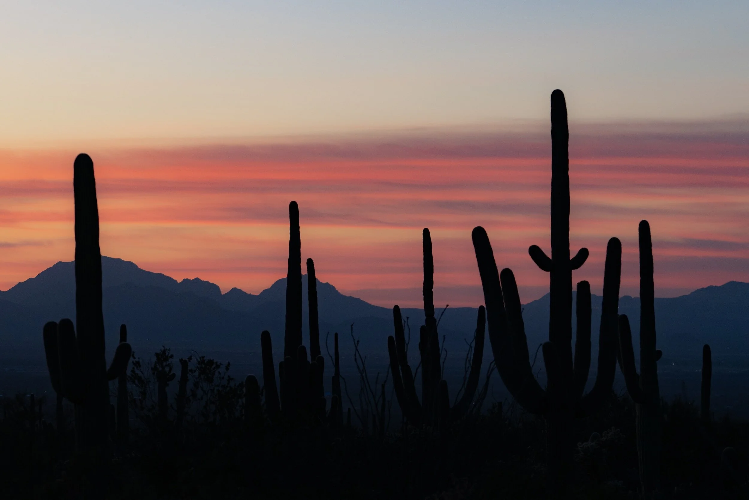2024 Rankings: Top Phoenix PR Agencies for Impactful Brand Strategies